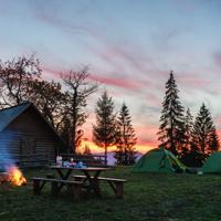 Explore the differences between lanterns and flashlights to determine the most effective lighting solution for emergencies.